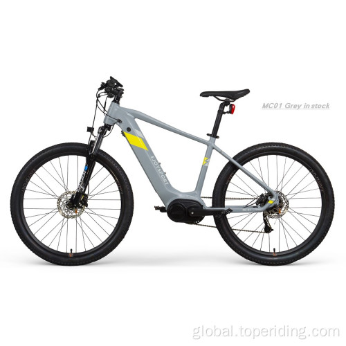 China Mid Motor E Mountain Bikes Supplier